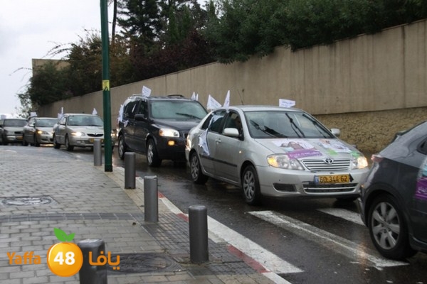 qafela sayarat haiywa (21).JPG